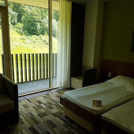 Lambergh Chateau & Hotel Dvorska Vas Ngoại thất bức ảnh