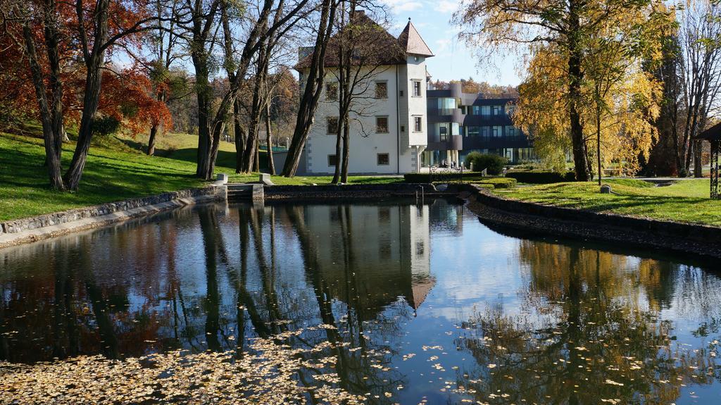 Lambergh Chateau & Hotel Dvorska Vas Ngoại thất bức ảnh